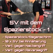 SV mit dem Spazierstock - 1