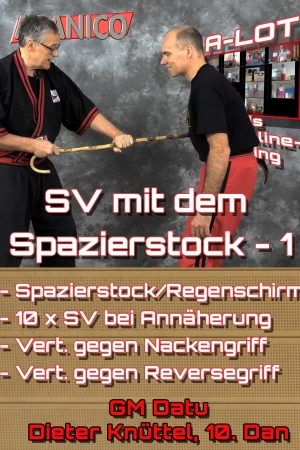 SV mit dem Spazierstock - 1