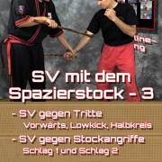 SV mit dem Spazierstock - 3