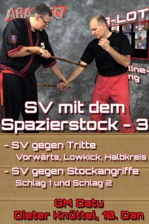 SV mit dem Spazierstock - 3