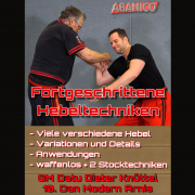 Fortgeschrittene Hebeltechniken - waffenlos