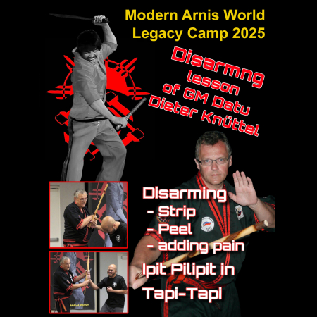 Modern Arnis World Legacy Camp-2025-2-Disarmings